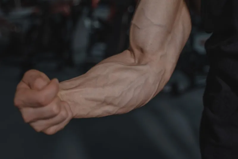 Your Arms Are Bigger Than You Think — You're Just Building the Wrong Part
